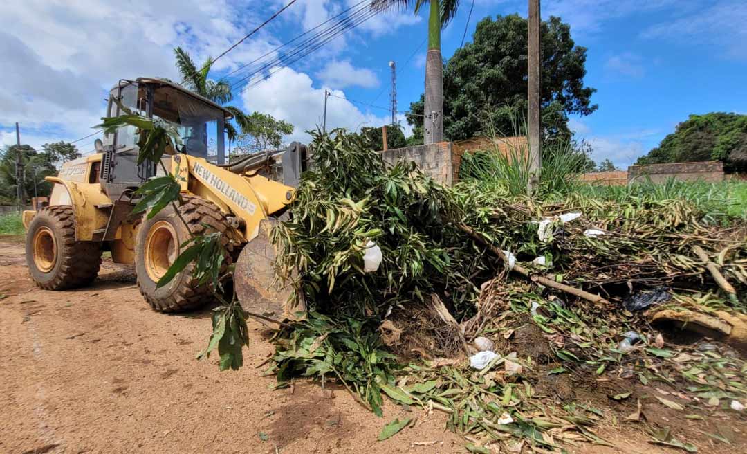 Prefeita Rosana Gomes faz mutirão de limpeza para combate à Dengue no Quinari