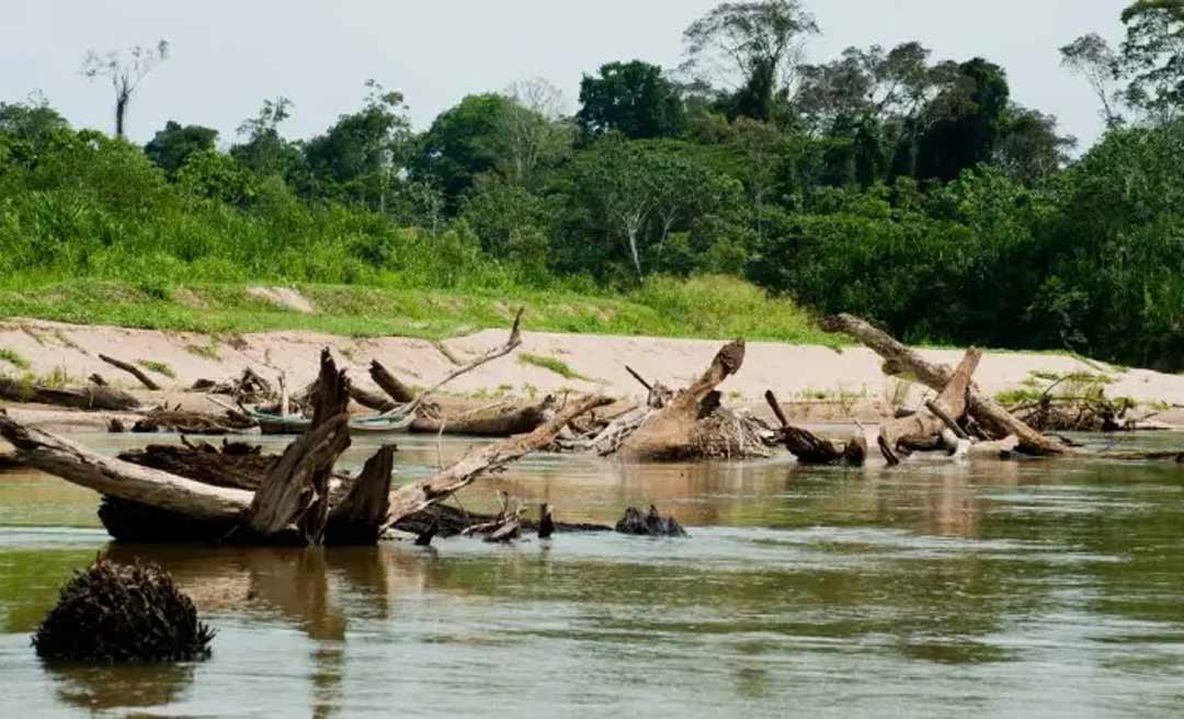 Colisão entre canoas mata criança de seis anos no Rio Amônia, Marechal Thaumaturgo