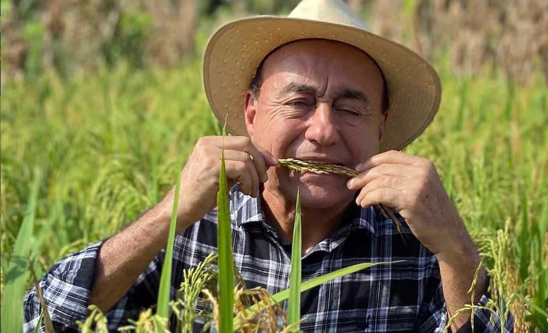 Prefeito de Rio Branco, Tião Bocalom visita plantio de arroz no projeto Moreno Maia