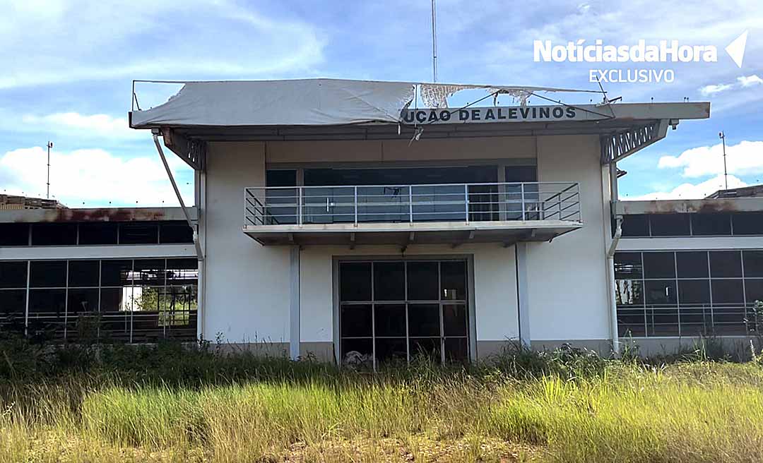 UM CEMITÉRIO CHAMADO PEIXES DA AMAZÔNIA