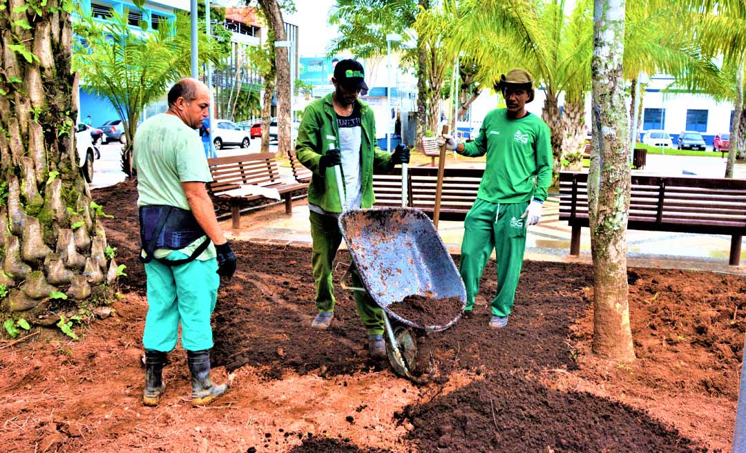 Prefeitura de Rio Branco faz recuperação do paisagismo na Praça da Revolução e canteiros da cidade