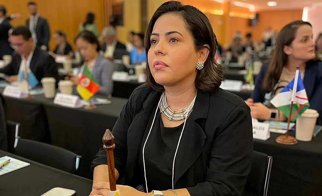 Julie Messias participa de reunião para discutir o avanço da política climática no Brasil