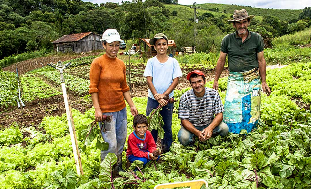 Governo relança PAA e reajusta valor que pode ser comercializado por agricultores familiares