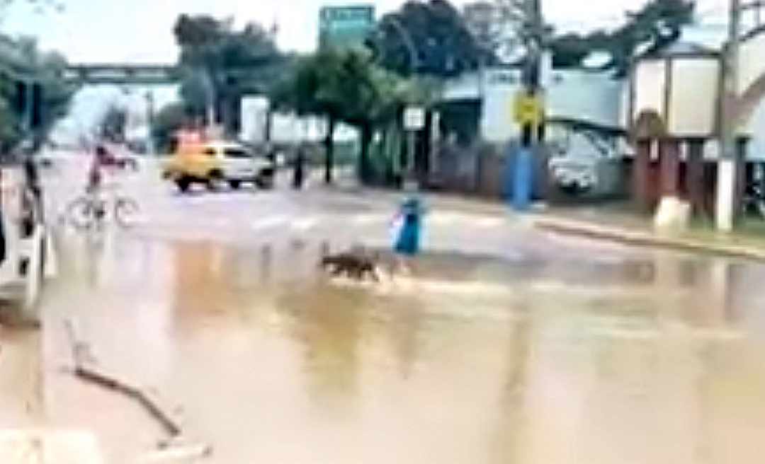 Acesso à Sobral pela Bola Preta está fechado; igarapé transbordou e cobriu a pista