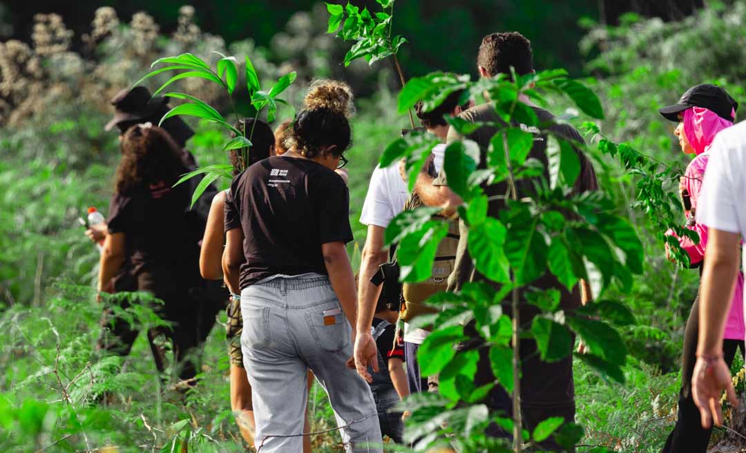 SOS Amazônia realiza plantio de árvores para recuperação da nascente do Rio Iquiri