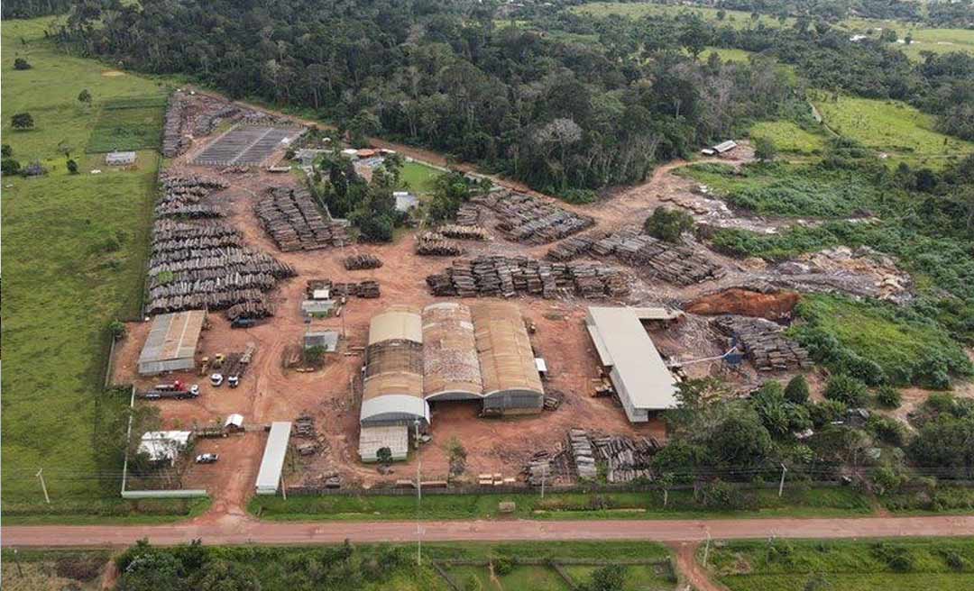 Ibama no Acre descarta apreensão de gado em propriedades embargadas e diz que madeireiras podem acessar sistema para emergências