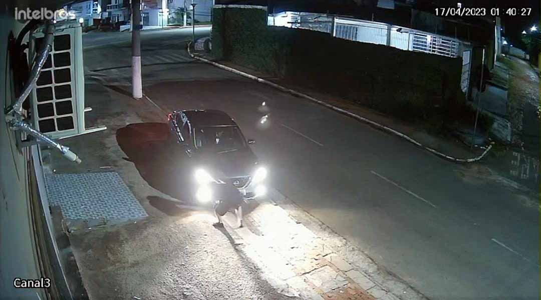 Em Rio Branco, homem atropela cão e o arrasta sem dar assistência; dona do veículo denuncia o condutor