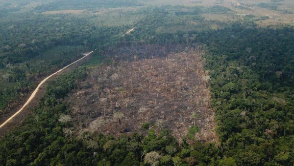 Desmatamento: Acre registra alta na devastação da floresta, alerta Imazon