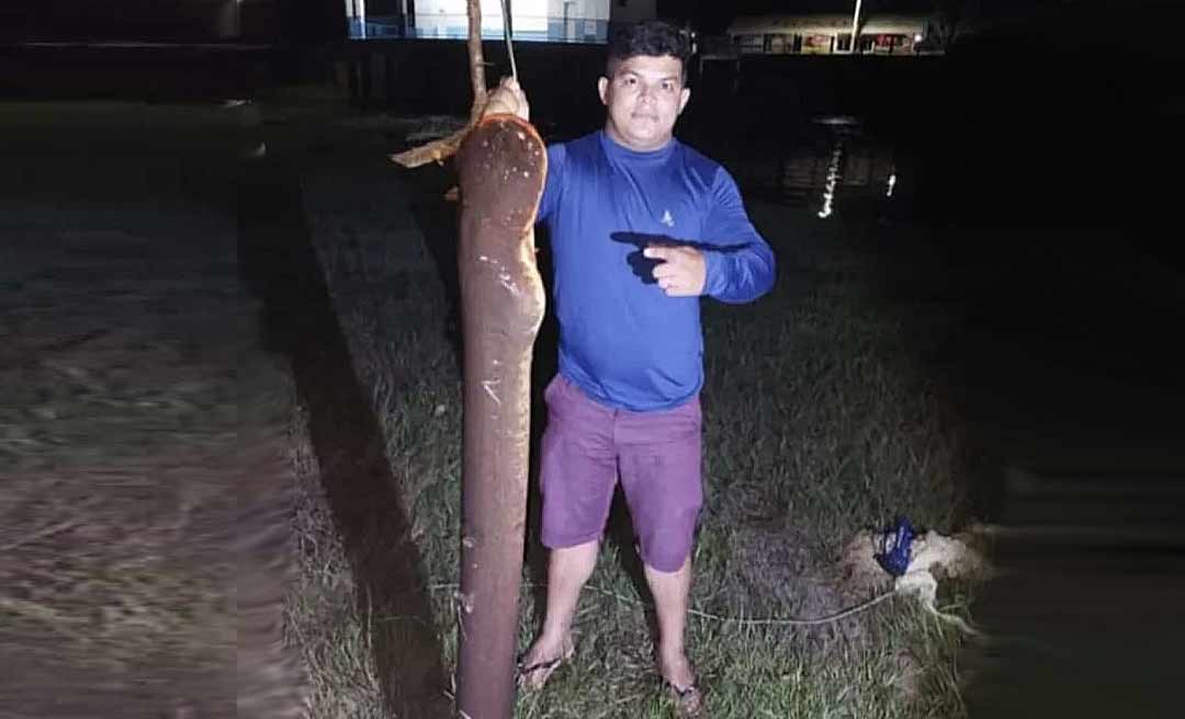 Peixe elétrico de cerca de dois metros é capturado no igarapé Preto em Cruzeiro do Sul