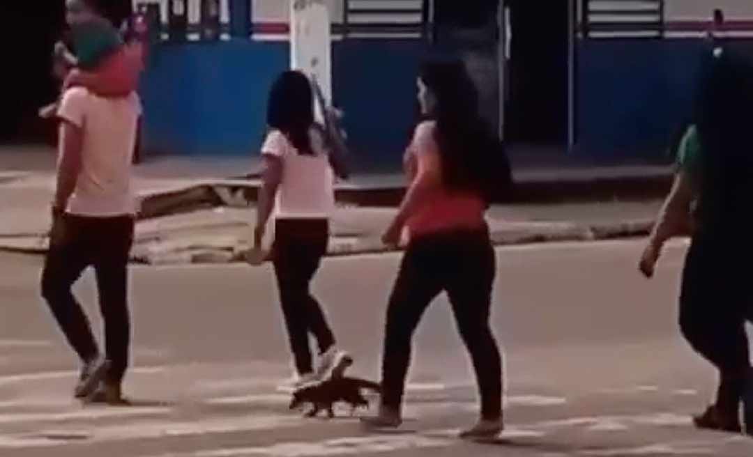 Mulher é filmada com "Quati" amarrado em coleira em Cruzeiro do Sul