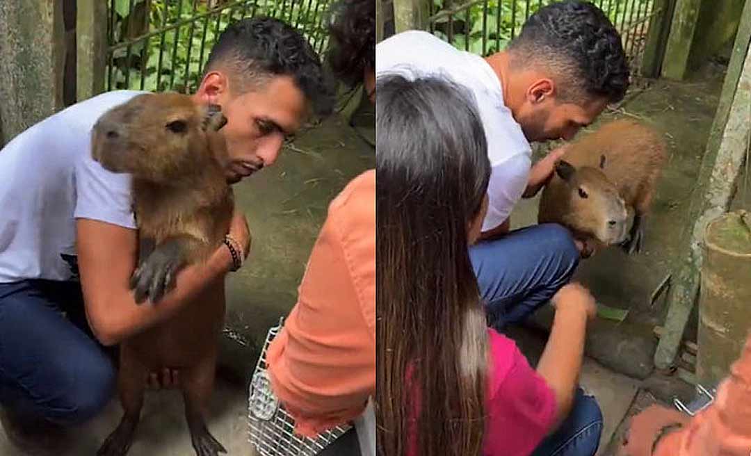 Capivara Filó é devolvida ao influenciador Agenor Tupinambá; veja o reencontro