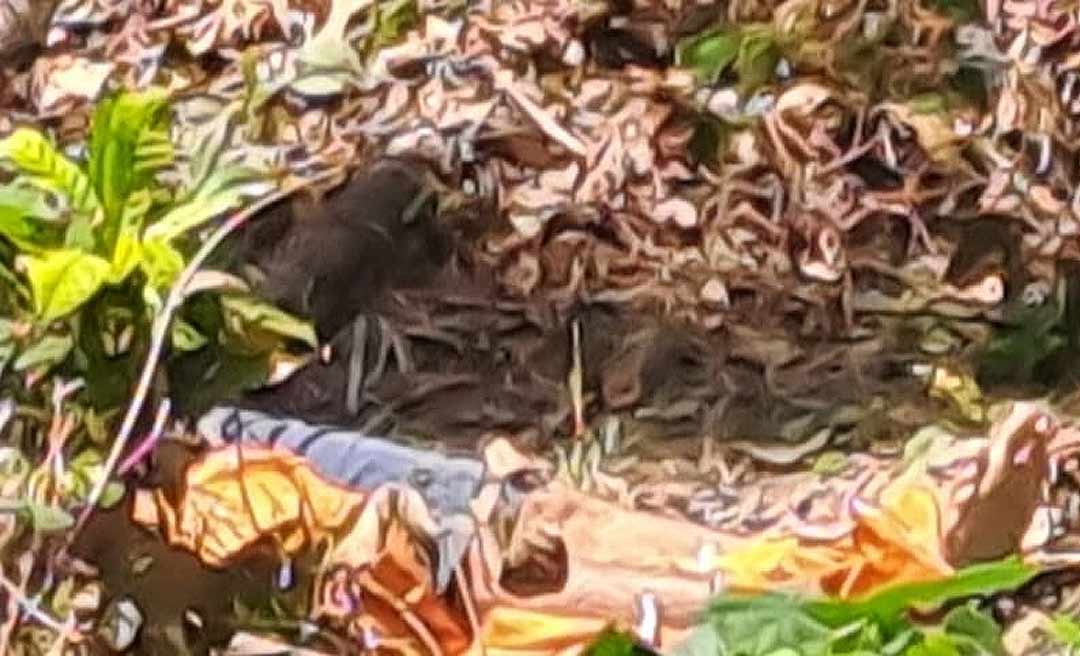 Corpo de homem é encontrado na zona rural de Rio Branco com pernas amarradas e coração arrancado