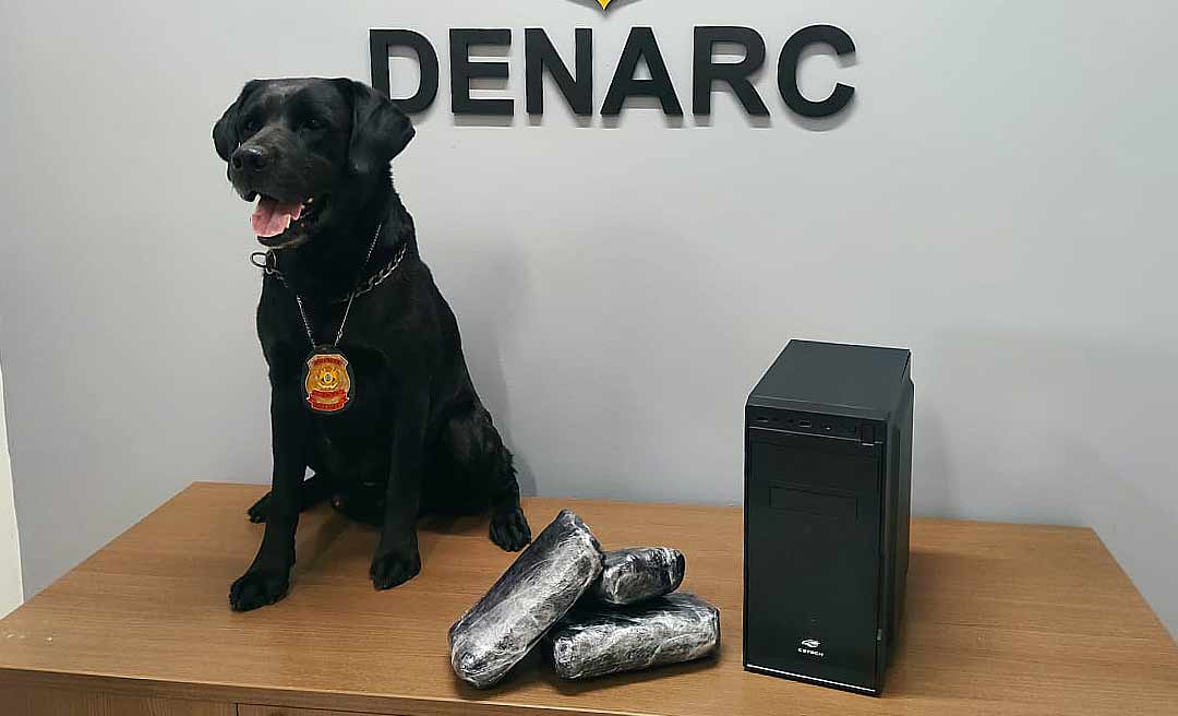 Polícia apreende computador recheado de cocaina que seria enviado ao Espírito Santo via transportadora