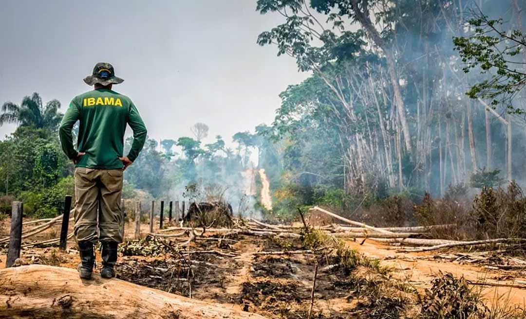 Órgãos do Acre participam de operação do Ibama para frear desmatamento nas divisas do AM, AC e RO