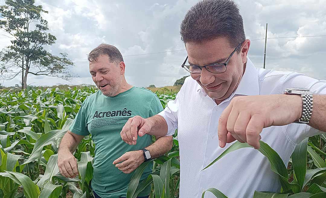 Com Alysson Bestene, Gladson visita milharal no parque de exposições e vistoria serviço na Gameleira