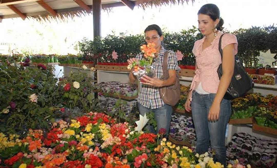 Ecoflores será lançada nesta sexta-feira, 23, no Horto Florestal