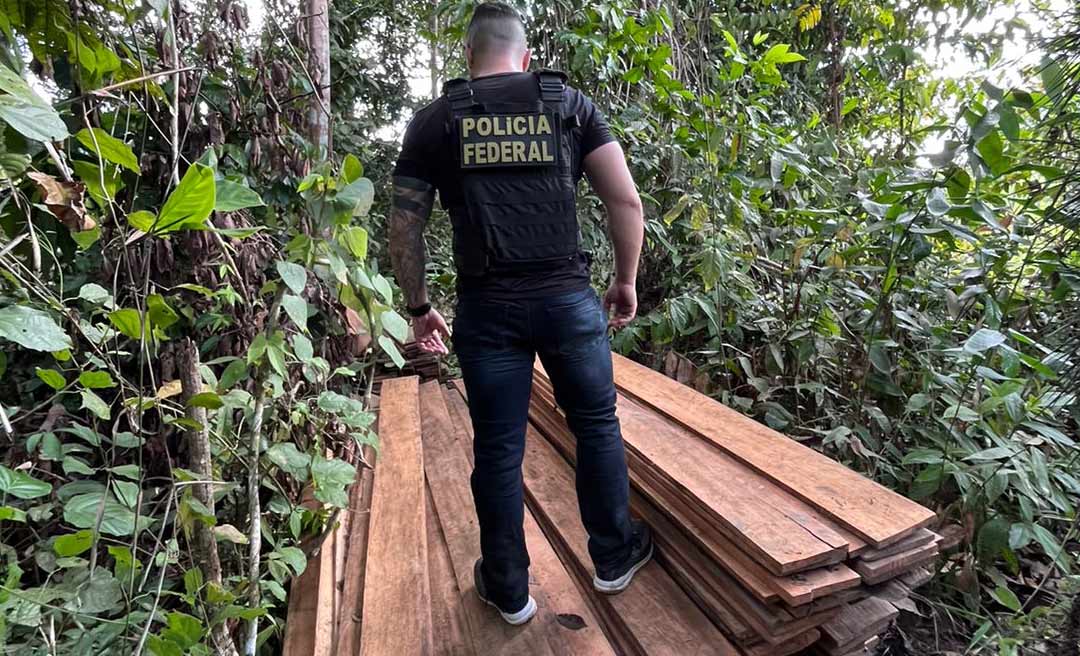 PF prende em flagrante quatro suspeitos de transporte ilegal de madeira sem autorização legal