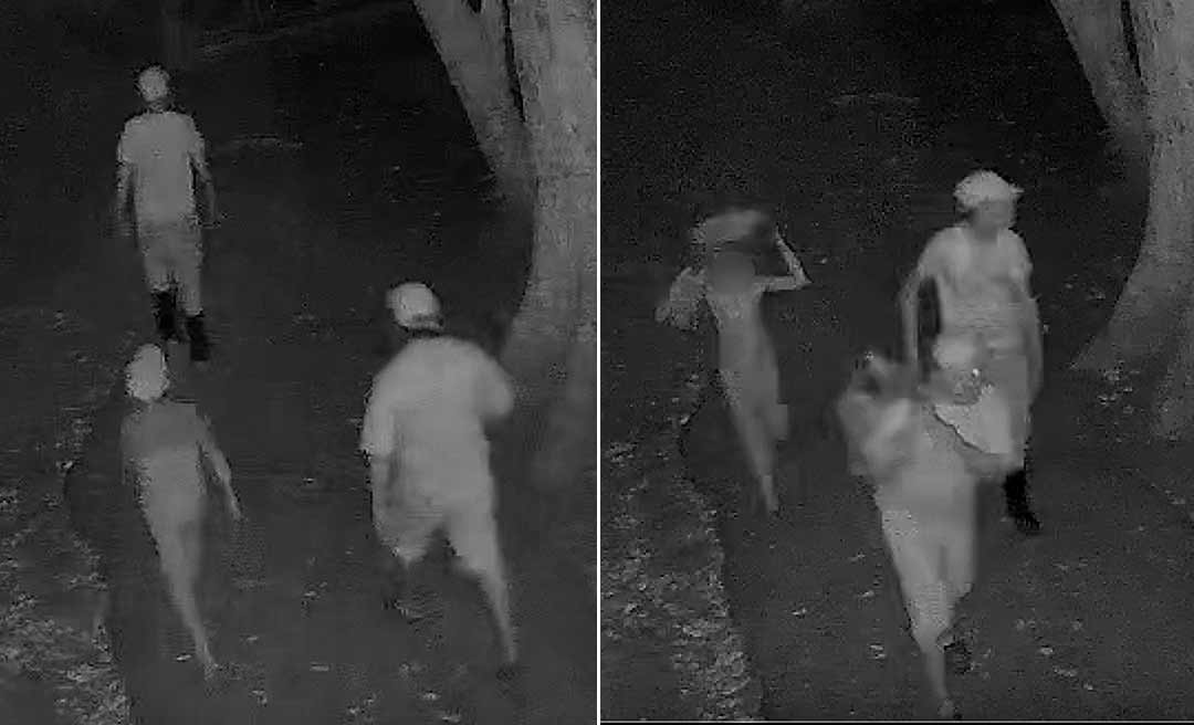 Câmeras de segurança no Parque Chico Mendes flagram homens furtando jabutis; criança acompanhava ladrões