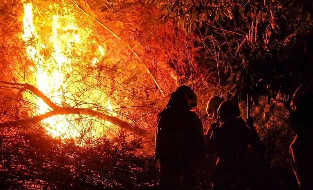 Secretária de Meio Ambiente do Acre diz que Estado vai atuar com “todo rigor da lei” para coibir queimadas