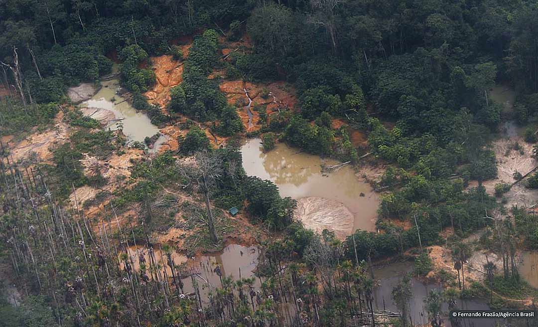 Garimpo ilegal devasta área de 118 hectares nos estados de Rondônia e Amazonas