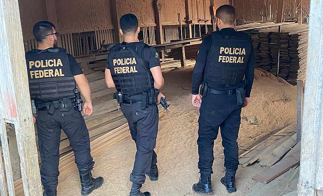 Polícia Federal fecha o cerco contra madeireiras clandestinas de Feijó e Tarauacá