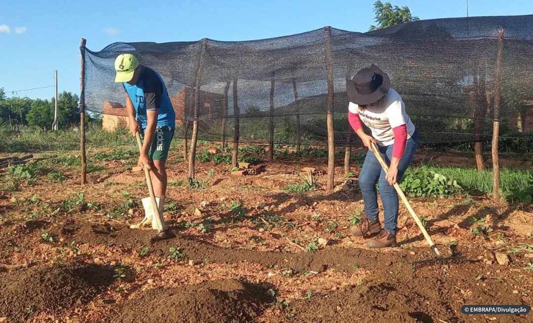 Trabalhadores pedem redução de juros para financiar a produção de alimentos no Brasil