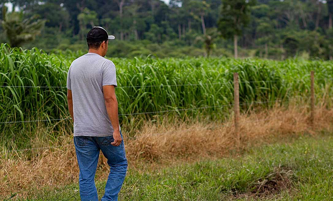 Programa REM Acre promoverá atividades formativas para a produção sustentável na Expoacre