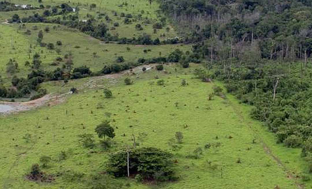 Ministério da Fazenda abre o prazo para entrega da Declaração do Imposto Territorial Rural