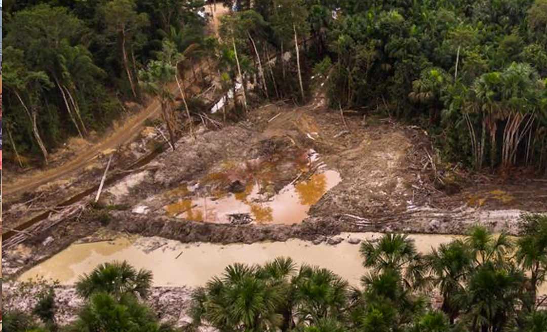 Acre está no arco do desmatamento e do avanço agropecuário, aponta estudo