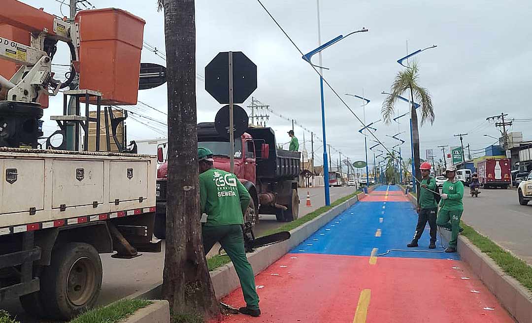 Prefeitura de Rio Branco esclarece sobre derrubada de palmeiras-imperiais na Via Chico Mendes