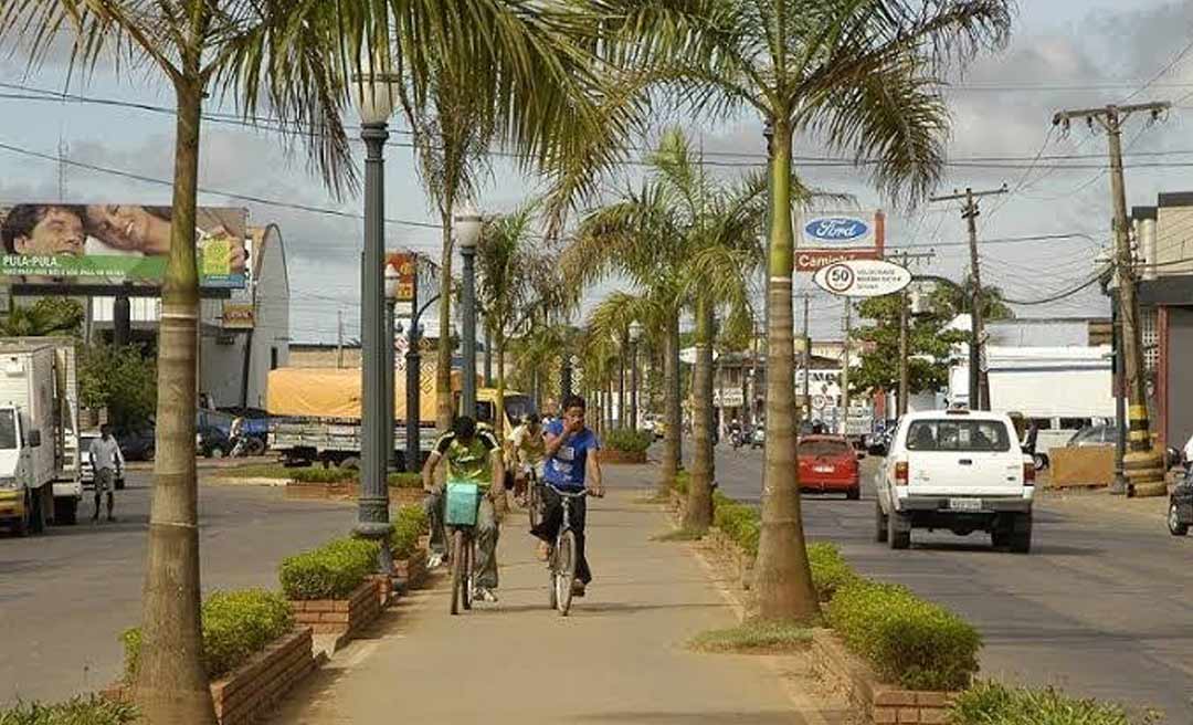 MPAC solicita informações sobre derrubada de palmeira na Via Chico Mendes