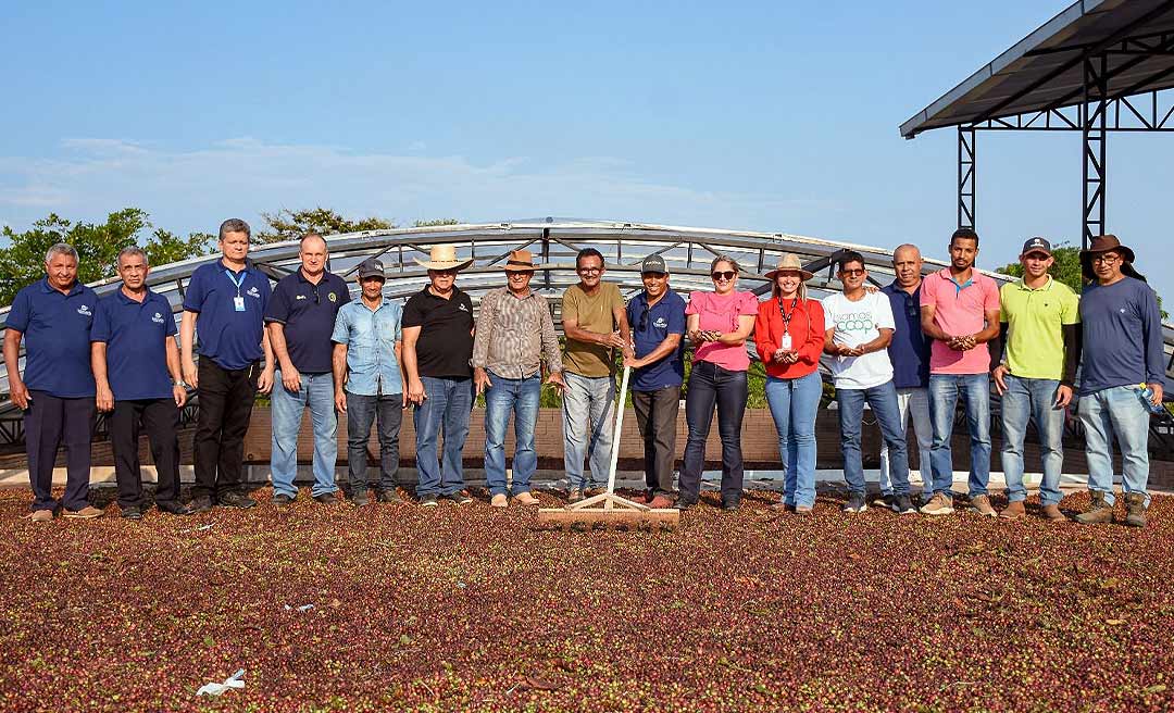 Dirigentes de cooperativas do Acre e de Santa Catarina fazem visita técnica para conhecer a experiência da cultura do café na Coopercafé