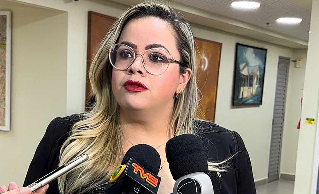 Após deputada Michelle Melo propor lei, Mesa Diretora da Assembleia cria comissão de compensação ambiental