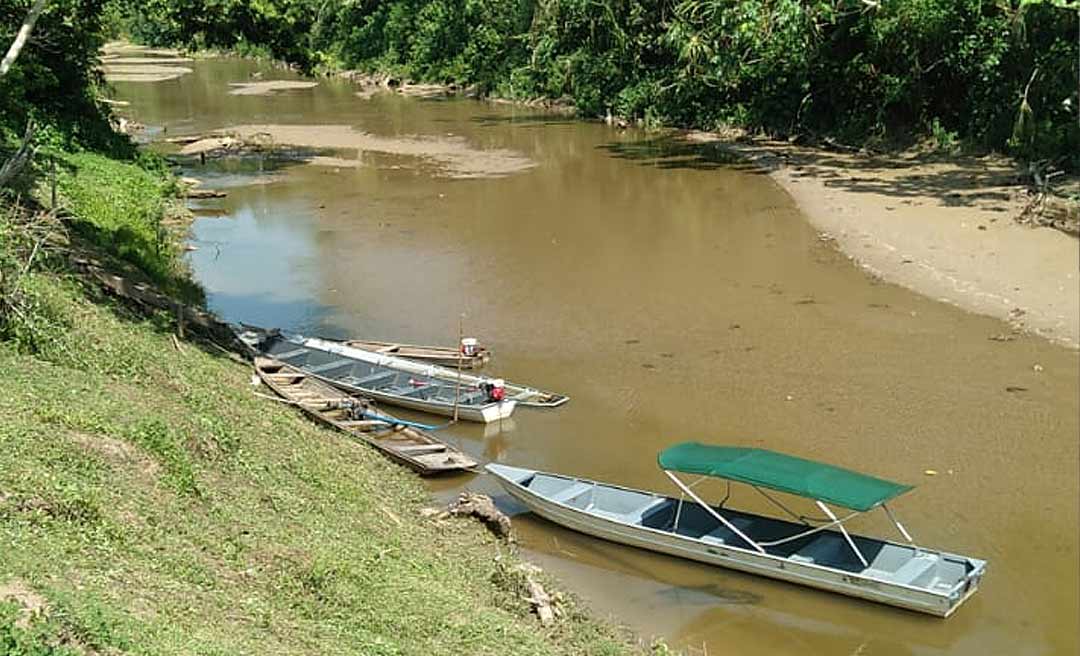 Seca severa castiga o interior do Acre e sertanista faz alerta para a falta de água própria para o consumo humano