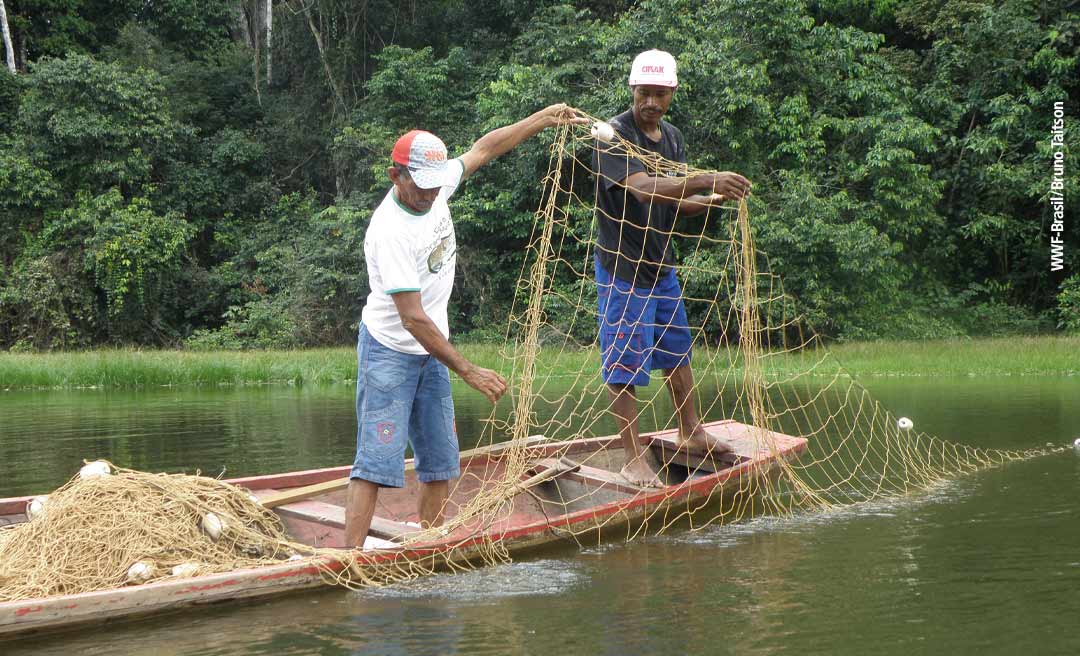 Pescadores artesanais do Acre podem receber duas parcelas extras do Seguro Defeso; medida é estudada em Brasília