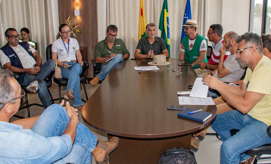 Prefeitura de Cruzeiro do Sul decreta emergência devido ao ataque do mandarová