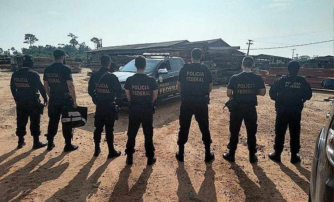 PF inicia operação contra desmatamento ilegal em Rondônia e no Acre