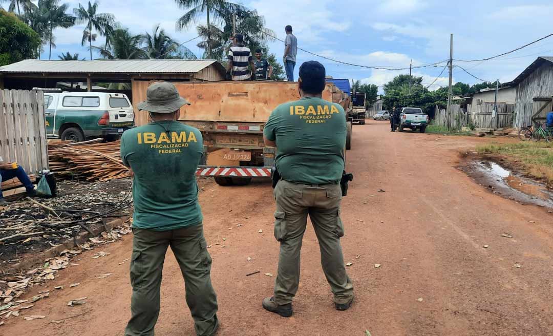 Fiscais do Ibama fecham oito serrarias e apreendem madeiras na Vila Caquetá
