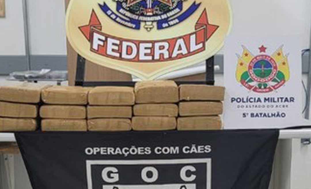 Após denúncia anônima, Polícia Federal apreende 20 quilos de drogas em Brasiléia