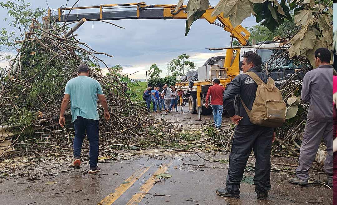 Raio derruba árvore e deixa BR-364 interditada em Sena Madureira