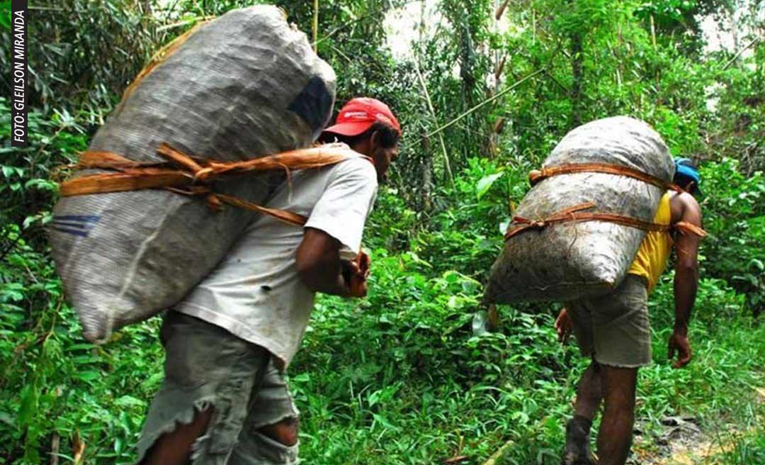 ICMBio estabelece portaria que regula e traça perfil de famílias da Reserva Extrativista Chico Mendes no Acre