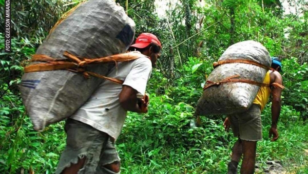 ICMBio estabelece portaria que regula e traça perfil de famílias da Reserva Extrativista Chico Mendes no Acre