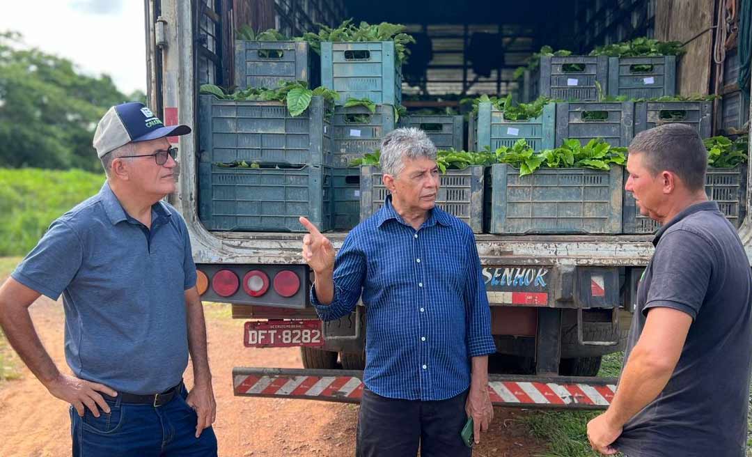 Xapuri recebe primeiras mudas de café através de emenda do ex-deputado Antônio Pedro 