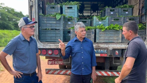 Xapuri recebe primeiras mudas de café através de emenda do ex-deputado Antônio Pedro 