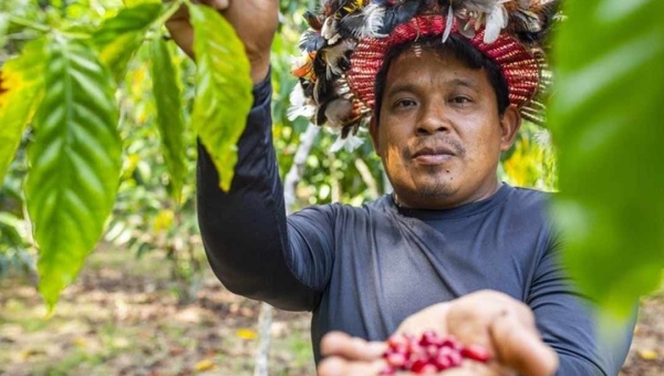 Investimento federal de R＄ 3 milhões fortalece o PAA junto a comunidades indígenas no Acre