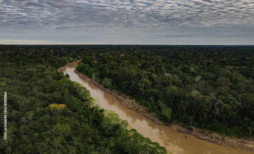 Acre é o primeiro estado a aderir a selo global sobre créditos de carbono