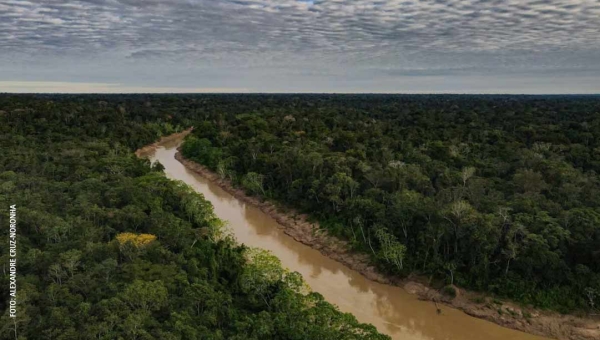 Acre é o primeiro estado a aderir a selo global sobre créditos de carbono