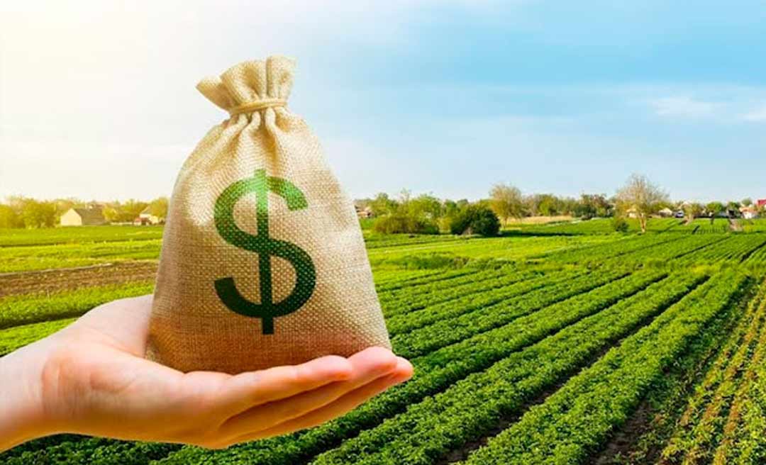 Plano Safra disponibilizou mais de R$ 1 bilhão para o Acre em contratos com o Agronegócio e a Agricultura Familiar