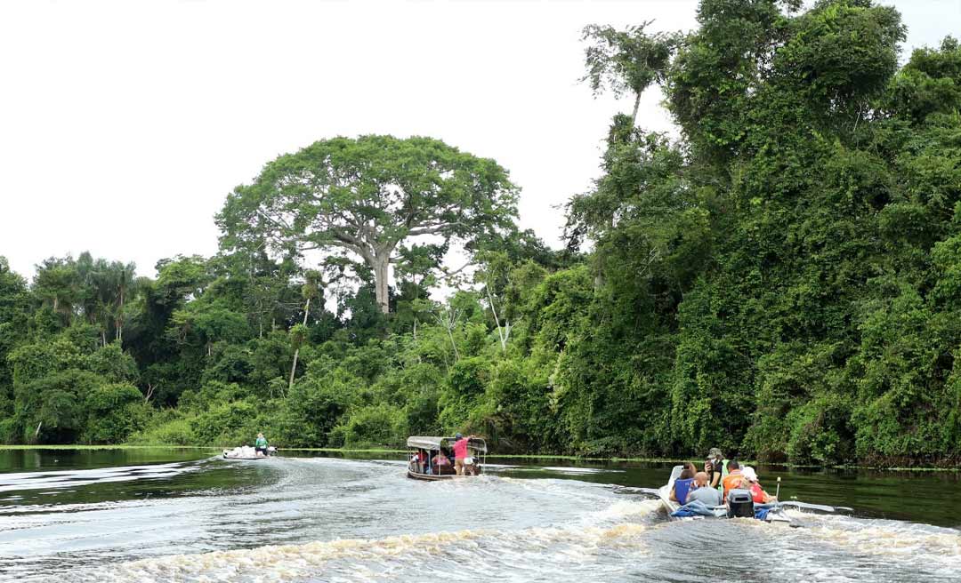 OURO VERDE - Venda de créditos de carbono deve injetar mais de meio bilhão de reais nas contas do Governo do Acre