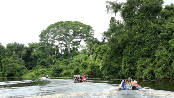 OURO VERDE - Venda de créditos de carbono deve injetar mais de meio bilhão de reais nas contas do Governo do Acre